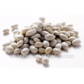 Fornecimento por atacado de alta qualidade em pó de extrato de feijão branco 10: 1 Phaseolin1%